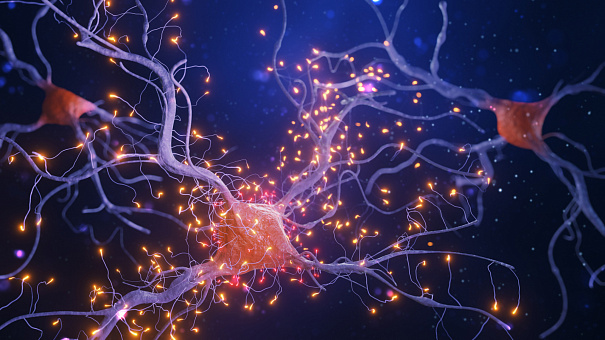 Разработаны специальные белки для доставки лекарств к нейронам